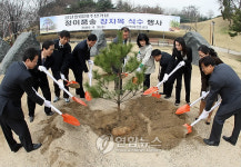 올림픽공원에 정이품송 장자목 식재