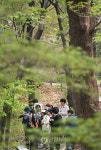 숲은 생명입니다