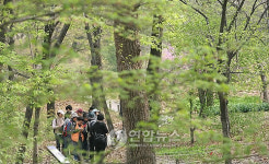 숲은 생명입니다