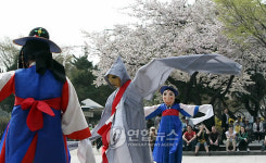 봄볕 아래 펼쳐진 오광대놀이