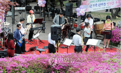 <카메라뉴스> 영산홍에 푹 빠진 여심(女心)