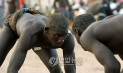 세네갈 전통격투기 선수들의 `눈싸움'