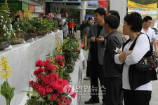 <게시판> 정읍휴게소 `야생화전시회