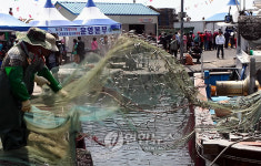 부산 기장 멸치.미역.다시마 축제 개막