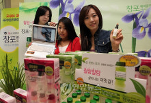 창포로 봄철 머릿결 관리