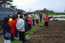 제주 친환경급식 수도권 교장들 관심