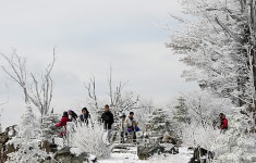 강원 산간 春雪..향로봉 8cm
