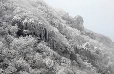 산수화 같은 한라산 설경