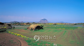 제주 알뜨르 비행장 부지 사용 논란