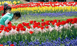 `꽃향기에 빠져볼까