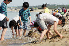 모래성 쌓기