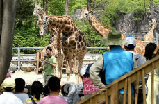 동물원 나들이