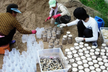 전국 최대 굼벵이 농장 된 영동 산골마을