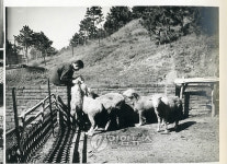 개교 50주년 맞은 건대 축산대학