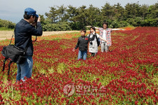 제주 부속섬 우도, 경관농업지대로
