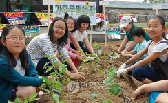 우리 가족 텃밭 가꾸기