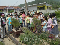  경주 야생화 체험장 `인기