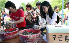 사랑의 한우 주먹밥 만들기