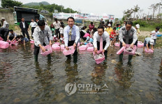 충남도, 부여 지천에 참게 47만마리 방류