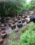 국유지에 불법전시된 항아리들
