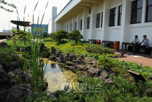 제주도청 청사 옥상정원