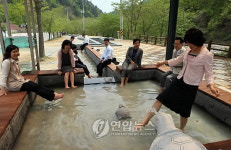양양 오색지구 온천 족탕