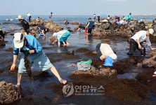 제주 마을어장 개장