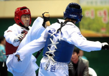 김제서 태권도 국가대표선발전 개막