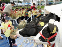 도심 속 목장 나들이