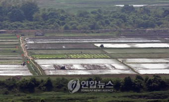 모내기 준비하는 北 주민들