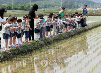 왕우렁이야, 풍년농사를 부탁해
