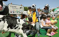 도심 속 목장에서 우유의 소중함 깨달아요
