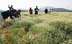 향긋한 허브 향에 빠져보세요