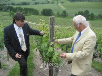 900년 장인정신..독일와인을 만나다