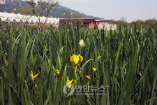 서울 창포원, 7일 개원