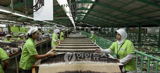살아있는 대우 정신, 인니 봉제법인