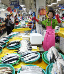 춤추는 강릉 주문진 수산시장 상인