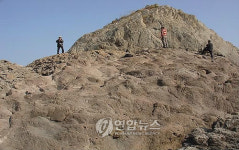 진도 동거차도 암석 천연기념물 지정예고
