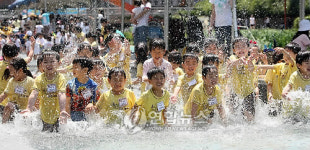 도심, 성내천에서 공짜피서 즐기자!