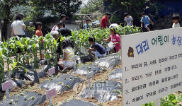임실 대리초 어린이들 농장 주인됐어요