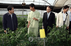 장태평 장관, 담양 친환경농장 방문