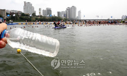 생수같은 울산 태화강물
