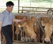 내가 3천만원짜리 한우