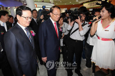 월드IT쇼(WIS) 2009 개막