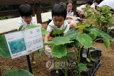 북한산 숲체험장 개장