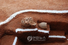 충남도청 이전예정지서 세형동검 출토