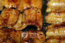 한국인이 가장 좋아하는 민물고기는?