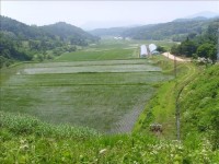 황새마을에 예산군 선정