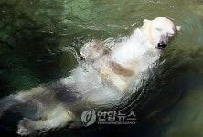 `이 맛이야..오월드 동물가족 여름나기