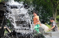 더위 식히는 물레방아